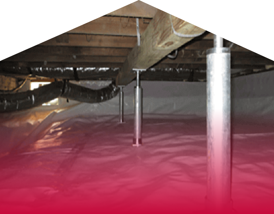 Crawl Space | Services | Area Waterproofing