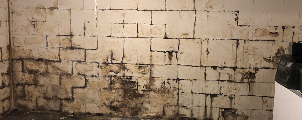 Waterproof Wall Panels Dryshield Area Waterproofing Free Estimates