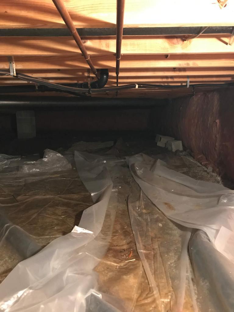 Crawl E Encapsulation Green Lake Wi Bat Wet And Moist Crawl E Area Waterproofing