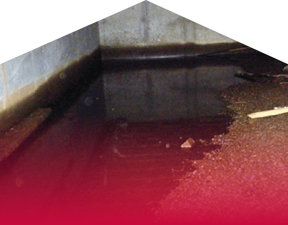 Basement Waterproofing | Services | Area Waterproofing