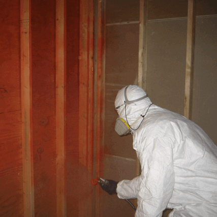 man in white hazmat suit cleaning up mold | mold cleanup | area waterproofing