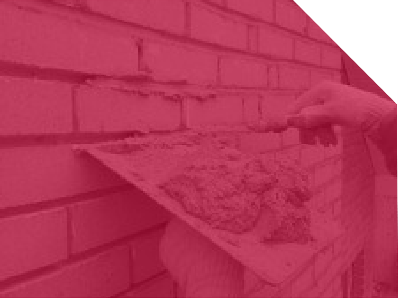 Brick Repair | Brick Mortar Repair | Tuckpointing | Area Waterproofing