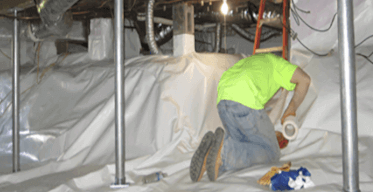 Crawl Space Services