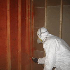 Mold Remediation